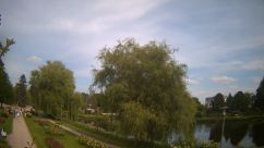 Rosarium Webcam