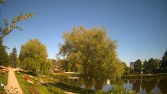 Rosarium Webcam