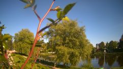 Rosarium Webcam