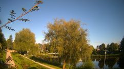 Rosarium Webcam
