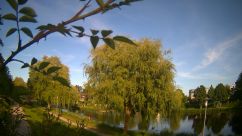 Rosarium Webcam