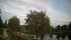Rosarium Webcam