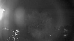 Rosarium Webcam