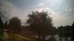 Rosarium Webcam