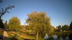 Rosarium Webcam