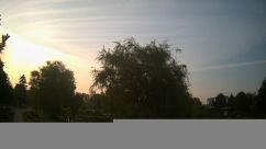 Rosarium Webcam