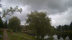 Rosarium Webcam