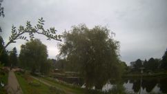 Rosarium Webcam