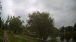 Rosarium Webcam
