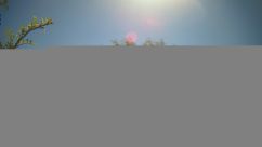 Rosarium Webcam