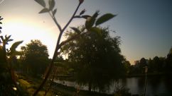 Rosarium Webcam