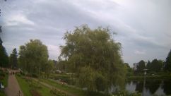 Rosarium Webcam