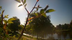 Rosarium Webcam