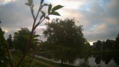 Rosarium Webcam