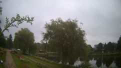 Rosarium Webcam