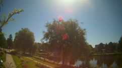 Rosarium Webcam