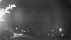 Rosarium Webcam