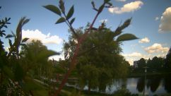 Rosarium Webcam