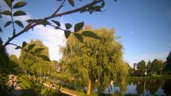 Rosarium Webcam