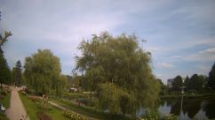 Rosarium Webcam