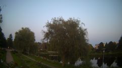Rosarium Webcam