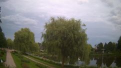 Rosarium Webcam