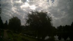 Rosarium Webcam