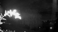 Rosarium Webcam