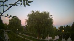 Rosarium Webcam