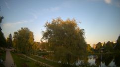 Rosarium Webcam