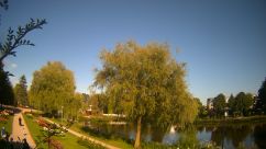 Rosarium Webcam