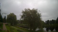 Rosarium Webcam