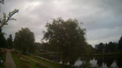 Rosarium Webcam