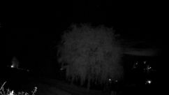 Rosarium Webcam
