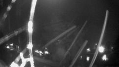 Rosarium Webcam