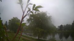 Rosarium Webcam
