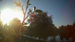 Rosarium Webcam