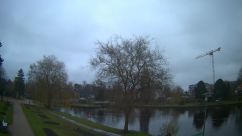 Rosarium Webcam