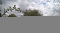 Rosarium Webcam