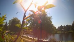 Rosarium Webcam