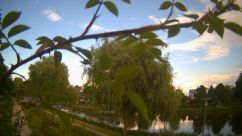 Rosarium Webcam