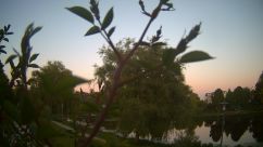 Rosarium Webcam