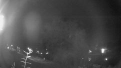 Rosarium Webcam