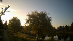 Rosarium Webcam