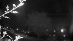 Rosarium Webcam