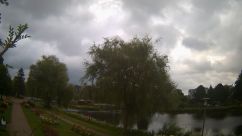 Rosarium Webcam