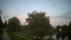 Rosarium Webcam