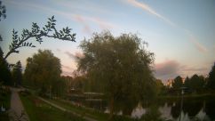 Rosarium Webcam
