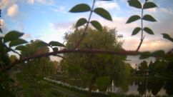 Rosarium Webcam