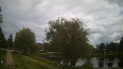 Rosarium Webcam